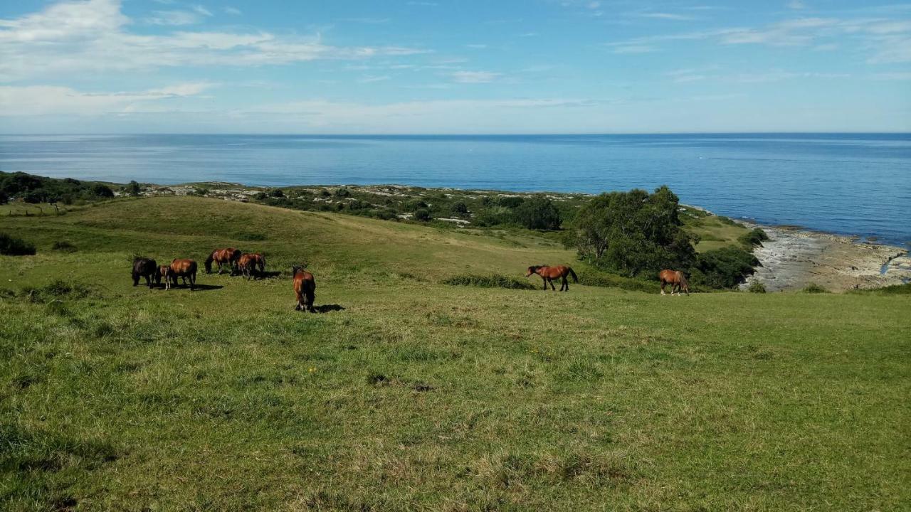 Posada Punta Linera Сан Висенте де ла Баркера Екстериор снимка